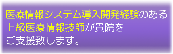 医療情報システム導入開発経験のある上級医療情報技師が貴院をご支援致します。